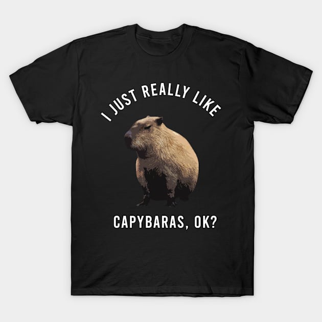 I-Just-Really-Like-Capybaras-OK T-Shirt by Multidimension art world